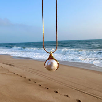 Ocean Collection